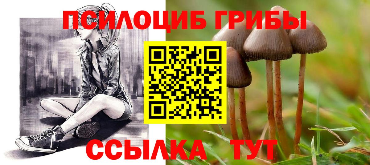 Псилоцибиновые грибы Cubensis Южноуральск