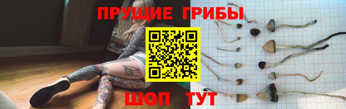 Псилоцибиновые грибы Magic Shrooms  Вход с VPN  Южноуральск  Галлюциногенные грибы мицелий 